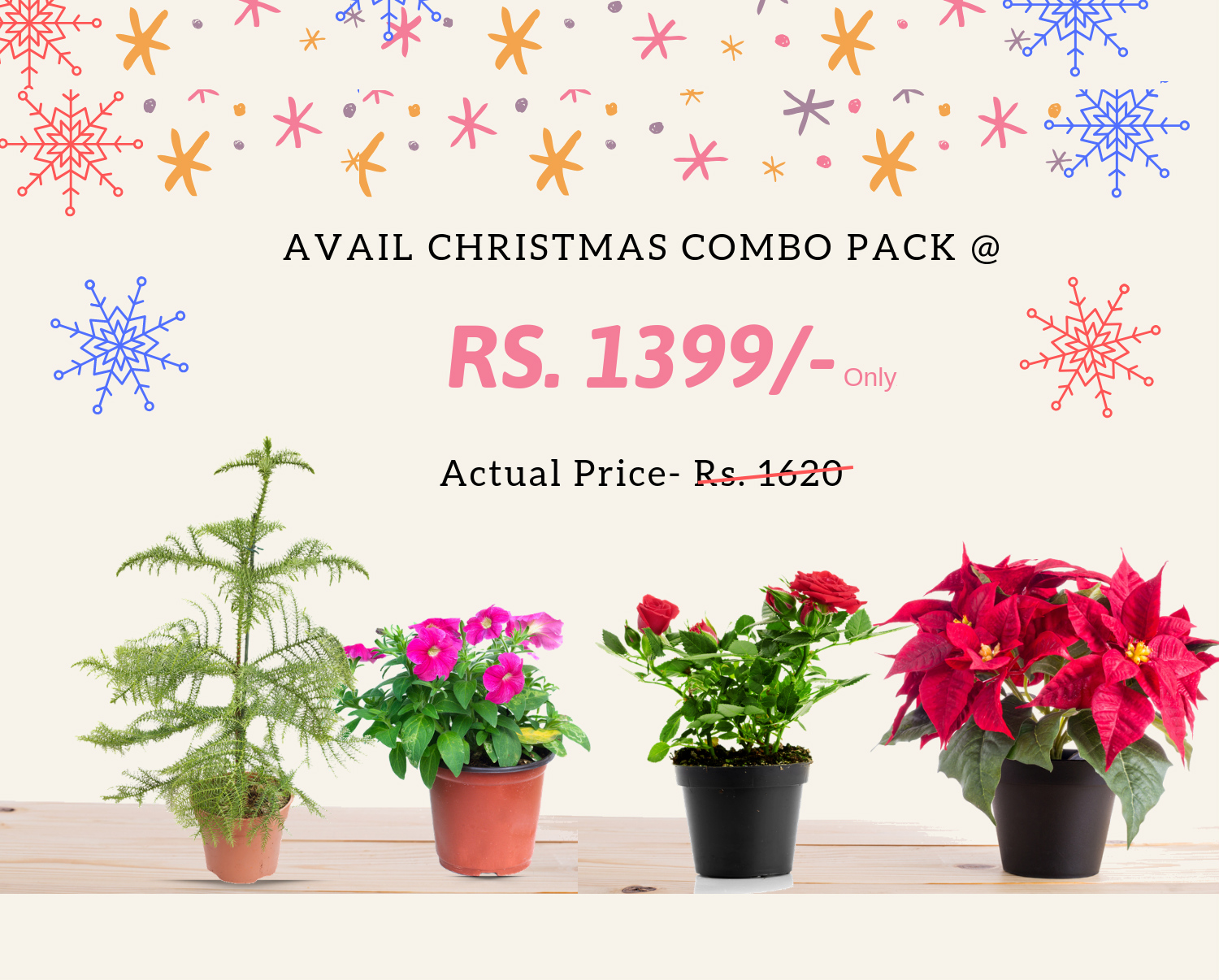 combo-gift-plants-pack-Christmas-New-Year-Celebration